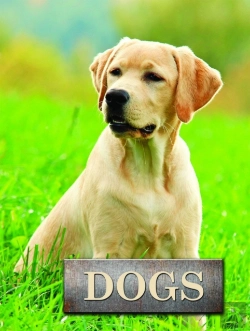 Bertrand.pt - Dogs