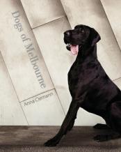 Dogs Of Melbourne