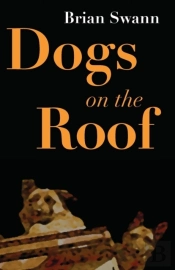 Dogs On The Roof