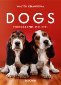 Dogs - Photographs 1941–1991