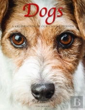Dogs