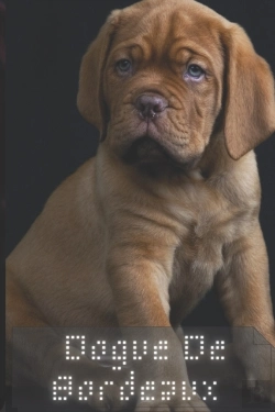 Bertrand.pt - Dogue De Bordeaux