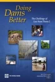 Doing Dams Right