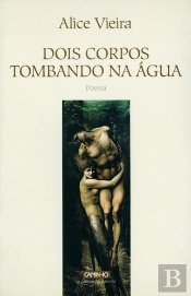 Dois Corpos Tombando na Água
