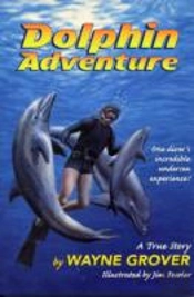 Dolphin Adventure