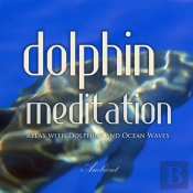 Dolphin Meditation