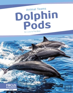 Bertrand.pt - Dolphin Pods