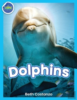 Bertrand.pt - Dolphins!