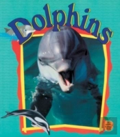 Dolphins