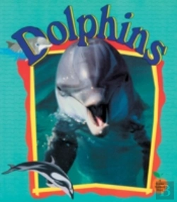 Bertrand.pt - Dolphins