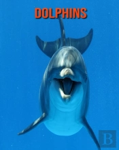 Dolphins