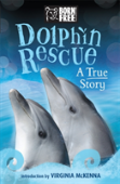 Dolphins