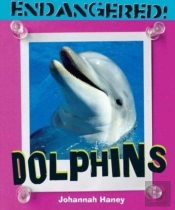 Dolphins