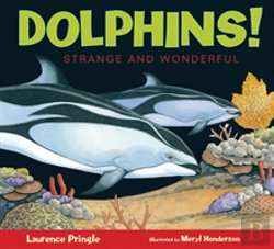 Bertrand.pt - Dolphins!