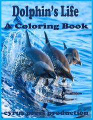 Dolphin'S Life
