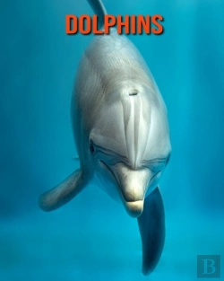 Bertrand.pt - Dolphins