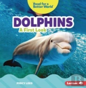 Dolphins