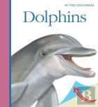 Dolphins