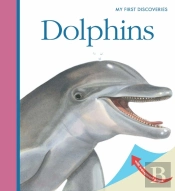 Dolphins
