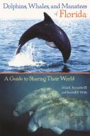 Dolphins, Whales, And Manatees Of Florida