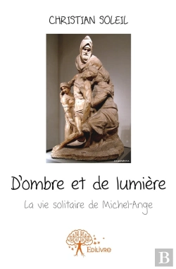 Bertrand.pt - D'Ombre Et De Lumière ; La Vie Solitaire De Michel-Ange