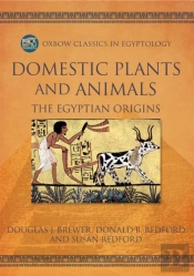 Domestic Plants And Animals