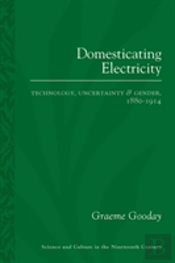 Domesticating Electricity