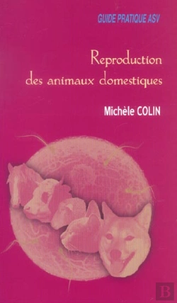 Bertrand.pt - Domestique Guide Asv