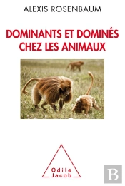 Dominants Et Dominés Chez Les Animaux