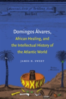 Domingos Alvares, African Healing, And The Intellectual History Of The Atlantic World