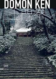 Domon Ken: The Master Of Japanese Realism /Anglais
