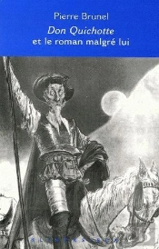 Don Quichotte Et Le Roman Malgré Lui