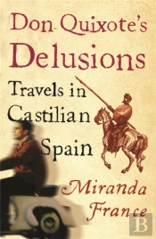 Don Quixote'S Delusions