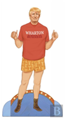 Donald Trump Paper Doll Collectible Campaign Edition