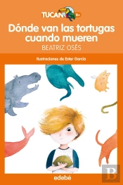 Dónde Van Las Tortugas Cuando Mueren