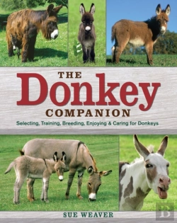 Bertrand.pt - Donkey Companion