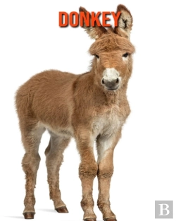 Bertrand.pt - Donkey