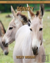 Donkey