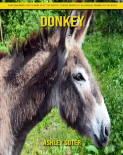 Bertrand.pt - Donkey