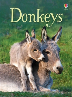 Bertrand.pt - Donkeys
