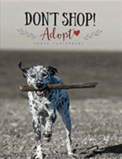 Bertrand.pt - Don'T Shop, Adopt! - South Canterbury