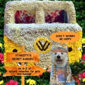 Don'T Worry Be Hippy
