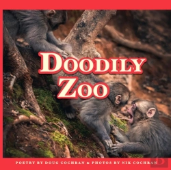 Bertrand.pt - Doodily Zoo