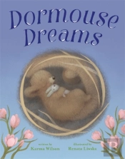 Dormouse Dreams