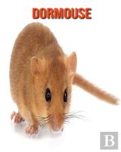 Dormouse