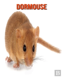 Bertrand.pt - Dormouse