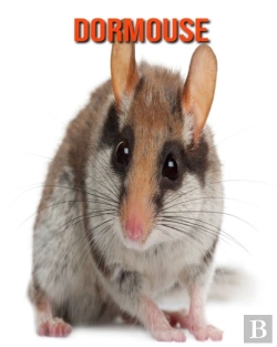 Bertrand.pt - Dormouse