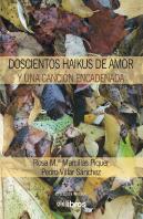 Doscientos Haikus De Amor Y Una Canción Encadenada