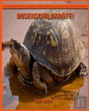 Dosenschildkrote! Ein Padagogisches Kinderbuch Uber Dosenschildkrote Mit Lustigen Fakten