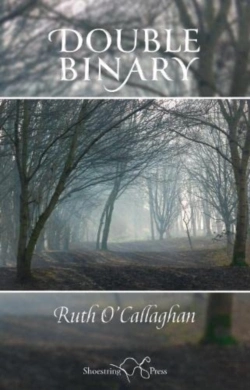 Bertrand.pt - Double Binary